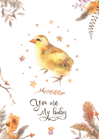 You are my baby - watercolor chicken invitation card decorated with feathers. Baby shower illustration. Baby birthday poster. Trendy loose watercolor imageの写真素材