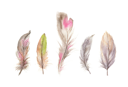 Hand drawn watercolor feather set. Boho style collection of the bird feathers. llustration isolated on white. Bird design for print, T-shirt, invitation, decorationの写真素材