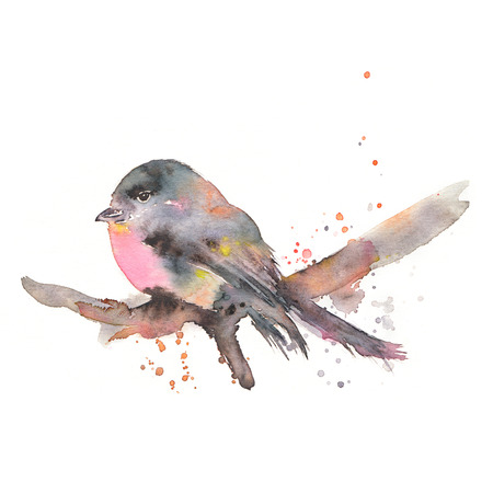 Stylized bullfinch watercolor illustration. Hand drawn bird sitting on a branch. Isolated on whiteの写真素材