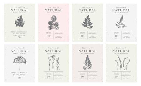 Set of customizable labels of Natural organic herbal products. Vintage packaging design collection for Cosmetics, Pharmacy, healthy food. Dried leaves, real herbariumのイラスト素材