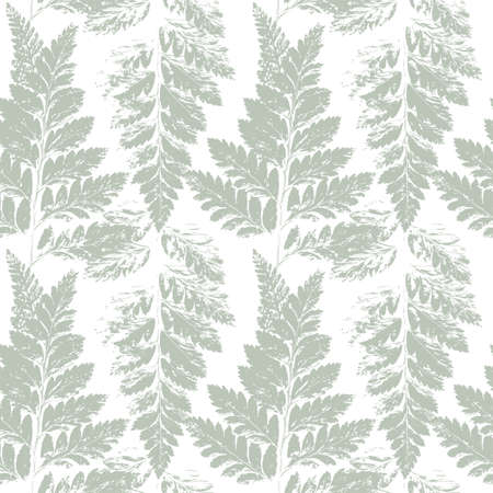 Pale Green Fern Leaves Seamless Patternの写真素材