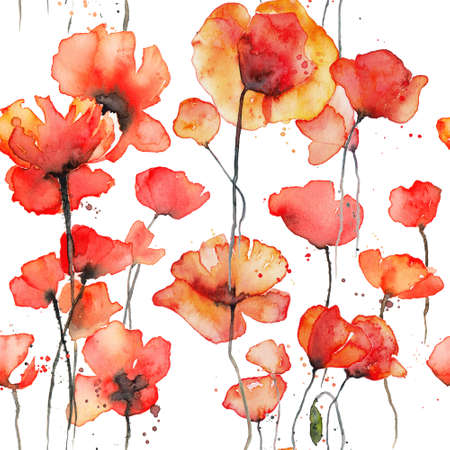 Red poppies watercolor illustrationの写真素材