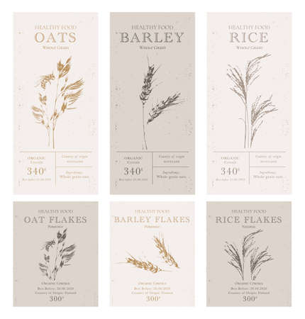 Set of customizable oatmeal labels of Natural healthy food. Cereal oat products packaging templates. Contemporary design for Cosmetics, Pharmacy, bakeryの写真素材