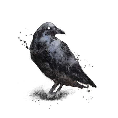 Black Raven isolated on white background. Crow - gothic black and white watercolor illustration. Bird clip art, wall art printの写真素材