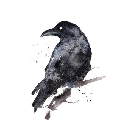 Black Raven isolated on white background. Crow - gothic black and white watercolor illustration. Bird clip art, wall art printの写真素材