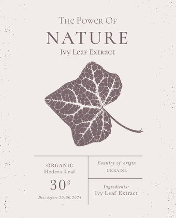 Elegant Label for Natural organic herbal products. Vintage packaging design collection for Cosmetics, Pharmacy, healthy food. Dried leaves, real herbariumのイラスト素材