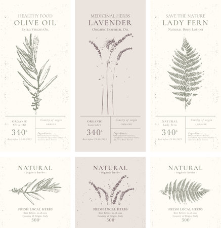Elegant Label collection for Natural organic herbal products. Vintage packaging design set for Cosmetics, Pharmacy, healthy food.のイラスト素材
