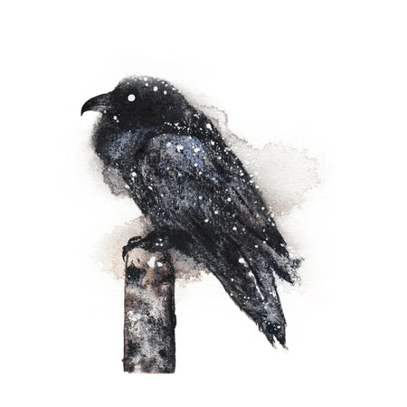 Black Raven, isolated on white background. Crow - gothic black and white watercolor illustration. Bird clip art, wall art print. High quality illustrationの写真素材
