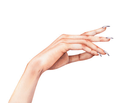 Realistic Elegant Watercolor Hand Illustration with long nailsの写真素材