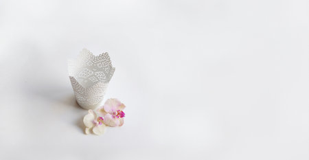 Pink Yellow Orchid flowers and vintage candle pot on white backgroundの写真素材