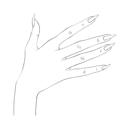 Women Hand in Thin Line Art. Minimalistic and Elegant Hand-Drawn Manicure Design for Female Beautyの写真素材