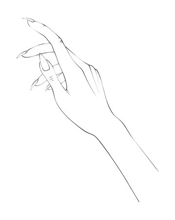 Women Hand in Thin Line Art. Minimalistic and Elegant Hand-Drawn Manicure Design for Female Beautyの写真素材