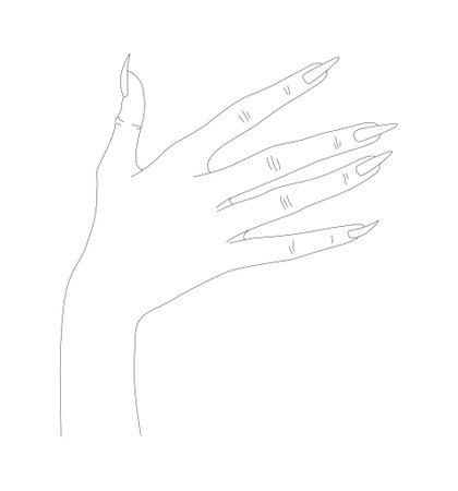 Women Hand in Thin Line Art. Minimalistic and Elegant Hand-Drawn Manicure Design for Female Beautyのイラスト素材