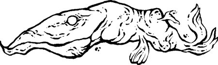 Crazy Weird Fish Monster, Black and white pattern, creative doodles, Weirdcore illustrationのイラスト素材