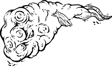 Crazy Weird Fish Monster, Black and white pattern, creative doodles, Weirdcore illustrationのイラスト素材