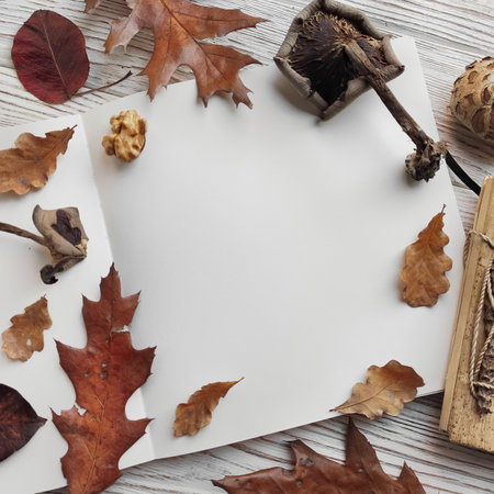 Autumn artist workspace. Flat lay composition. Sketchbook and mushrooms dried leaves top view.の写真素材