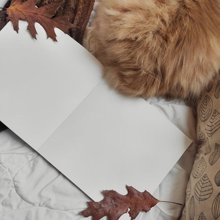 Autumn artist workspace with ginger cat. Flat lay composition. Sketchbook, ginger cats back and dried leaves top view.の写真素材