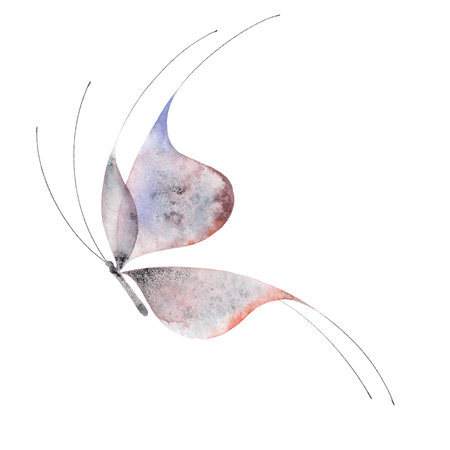 Watercolor butterfly isolated on white. Abstract ethereal hand-drawn illustration blue purple insect. High-quality illustrationの写真素材