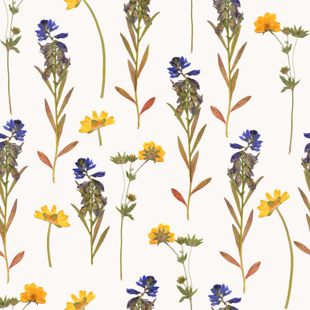 Floral botanical seamless pattern, spring colorful vivid flowers, flat lay on a white background. Dry flowers on a white backgroundの写真素材