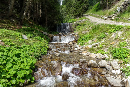 Cascade falls over mossy rocksの写真素材