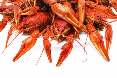appetizing red boiled crawfish on a white backgroundの写真素材