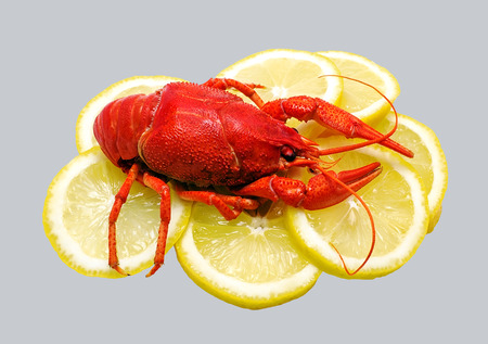 red big cancer on the background of lemonの写真素材