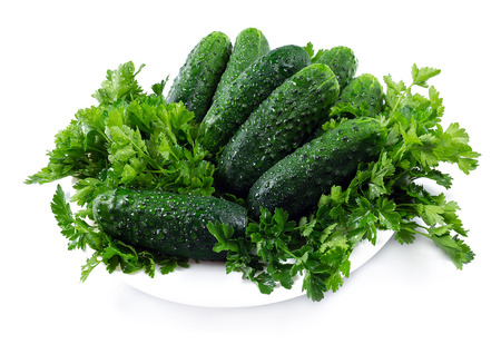 Juicy cucumber with dew from the greens on a white backgroundの写真素材