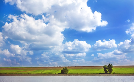 pair of trees on the background of green field,  water and the blue cloudsの写真素材