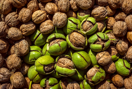 walnuts background. lots of walnuts closeupの写真素材