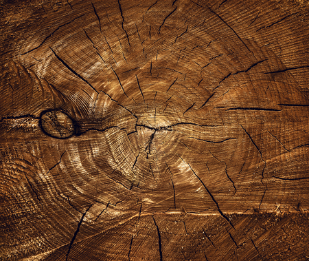 texture of wood cut-off for the background. old woodの写真素材