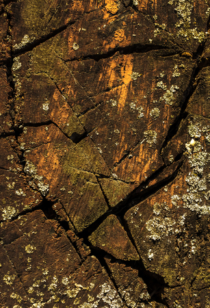 old wooden background with cracksの写真素材