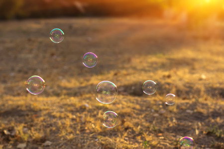 soap bubbles into the sunset with beautiful bokeh.close-upの写真素材