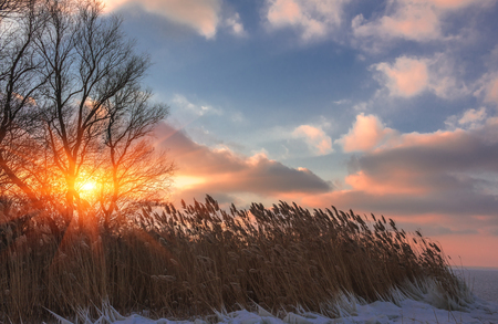 beautiful winter landscape at sunset on the coast of lakeの写真素材