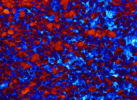 Neon abstract background with chaotic fiery particles. for design picture.
