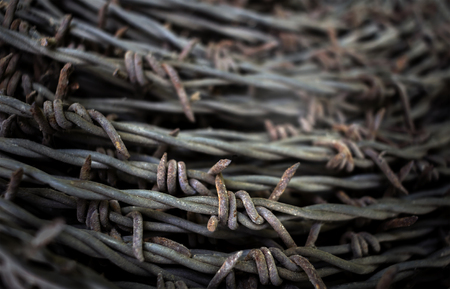 barbed wire on blurred background. The concept of design protection.の写真素材