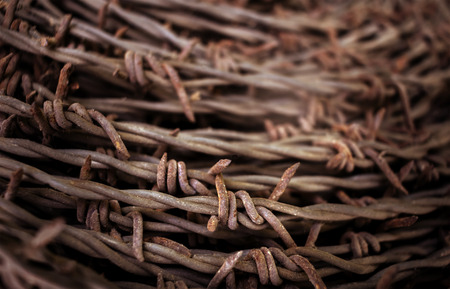 barbed wire on blurred background. The concept of design protection.の写真素材