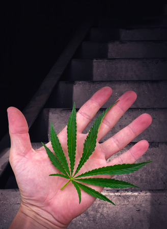 cannabis leaf on the palm. marijuana road in the darknessの写真素材
