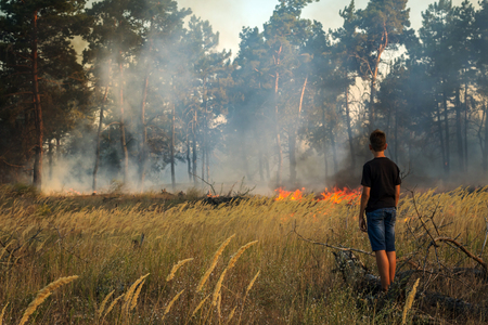 guy in dangerous proximity to a forest fireの写真素材