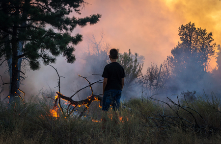man near, watching a forest fire. danger of fire.の写真素材
