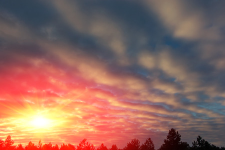colorful sunset with pocked clouds , in the woods. Sky background.