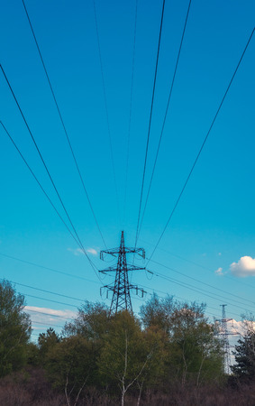 High-voltage lines against the blue sky, green pine forest. electricityの写真素材