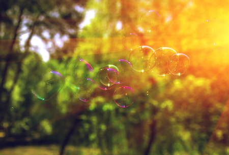 big soap bubbles into the sunset with beautiful bokeh.close-upの写真素材