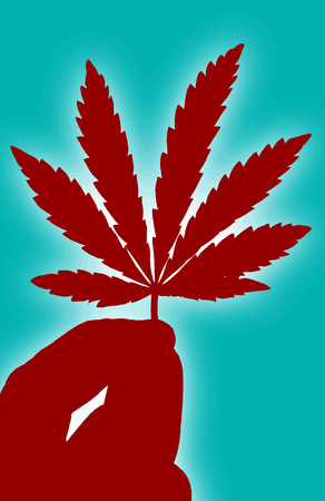 bush marijuana on blurred  background. bush cannabis.の写真素材