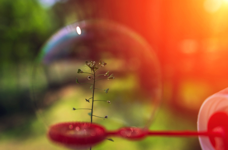 soap bubbles into the sunset with beautiful bokehの写真素材