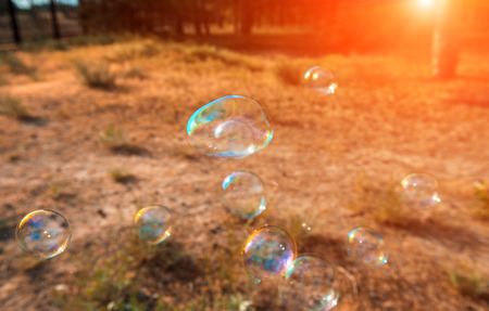 soap bubbles into the sunset with beautiful bokehの写真素材