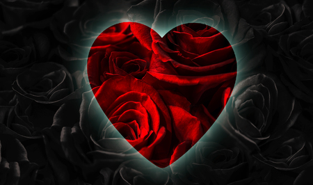 black roses with heart isolated on a black background. Greeting card with heart love you.の写真素材
