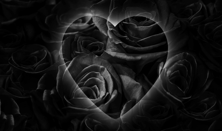 black roses with heart isolated on a black background. Greeting card with heart. love you.の写真素材