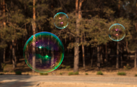 soap bubbles into the sunset with beautiful bokehの写真素材