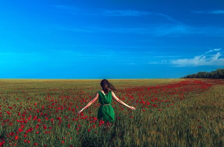 girl in the field with red flowers poppies  at sunsetの写真素材