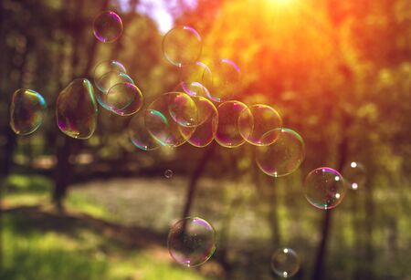 soap bubbles into the sunset with beautiful bokeh